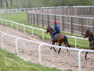 BP140425-24 - Squire Danagher (red hat)